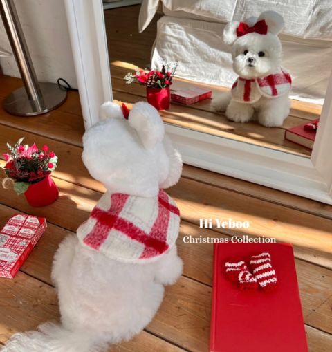 image_E6DD4A9C-9935-46A5-9AA0-9F4BDC97DBAE_1769440239