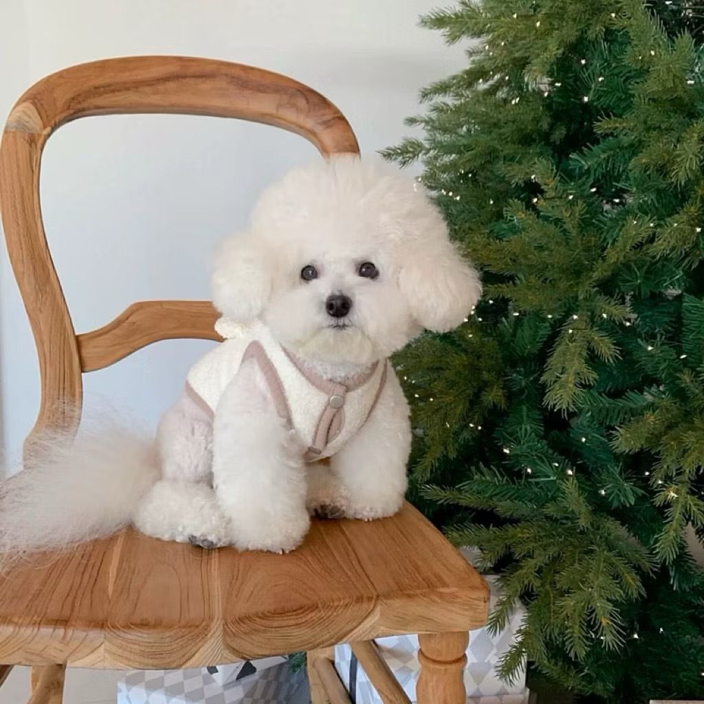 image_3462CA52-4329-4D91-A512-F0F1FE7C8ED3_1769440891