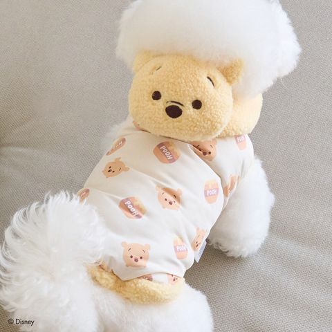 image_4FBE5E67-0095-4F1E-B6E2-1D71E7FD79C3_1769441580