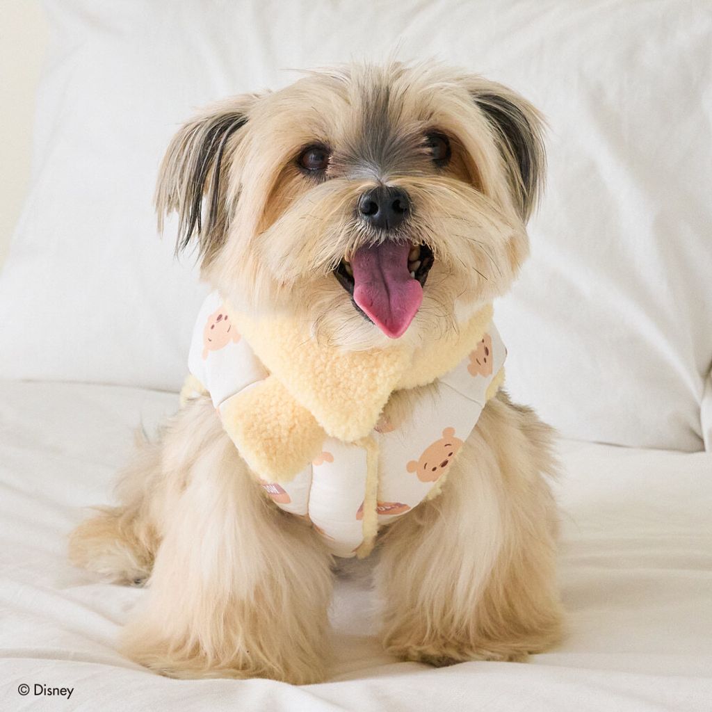 image_5A845F99-765C-47FA-8934-48F8EA6ED5E7_1769441580