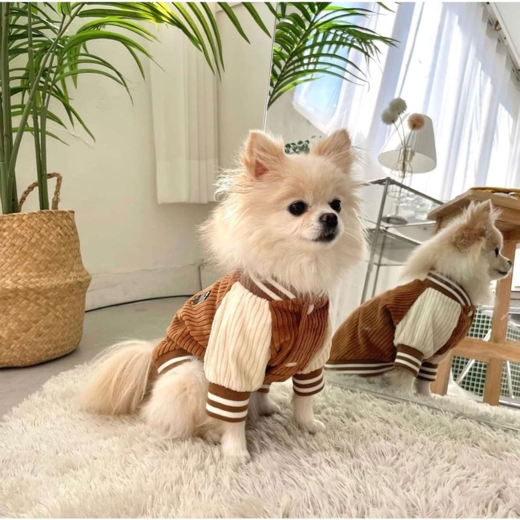 image_58ADFEF1-AE07-4C9C-9E8A-C43B4E367FE1_1769442244