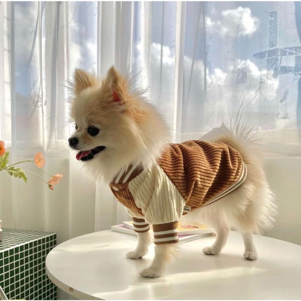 image_9AB91863-0173-4112-9BF5-B253AABA57C8_1769442244