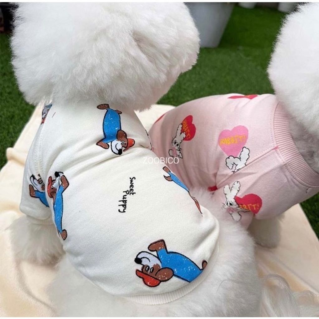 image_6D682F12-892C-4B0D-AD83-C623BF2C4FB1_1769443456