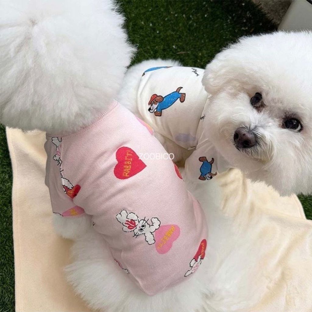 image_DD9C290A-07FD-4F44-A273-CE815D202116_1769443456