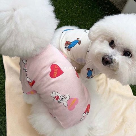 image_DD9C290A-07FD-4F44-A273-CE815D202116_1769443456