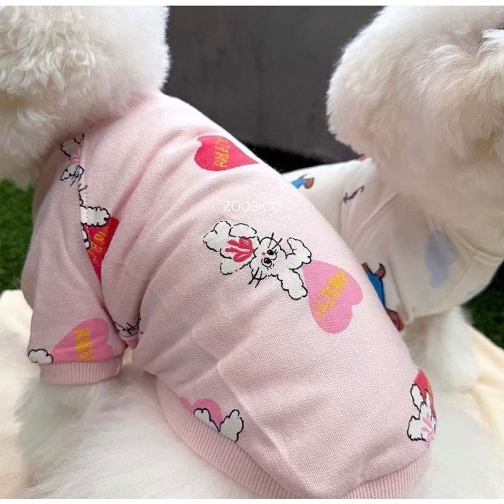 image_12B5A5AE-B5E8-4A50-8384-6FCE1EDBB264_1769443456