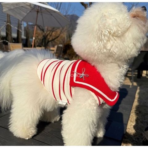 image_F4E15608-2304-48A3-814A-0C082B7F99CF_1769443686