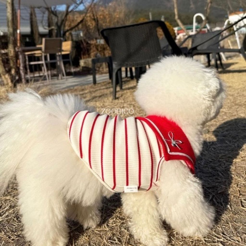 image_D1C75B88-AFE5-4698-B9F5-B5B16FC4F665_1769443686