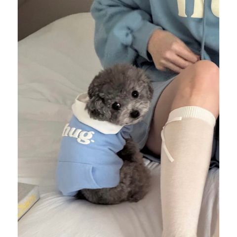 image_45E7D8E5-1E0A-402F-990F-B4328B50DEE6_1769443828