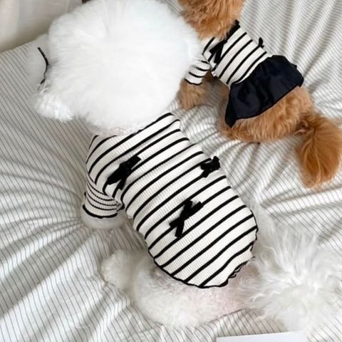 image_9ADBE992-6758-451A-91F7-C51A8B783831_1769444153