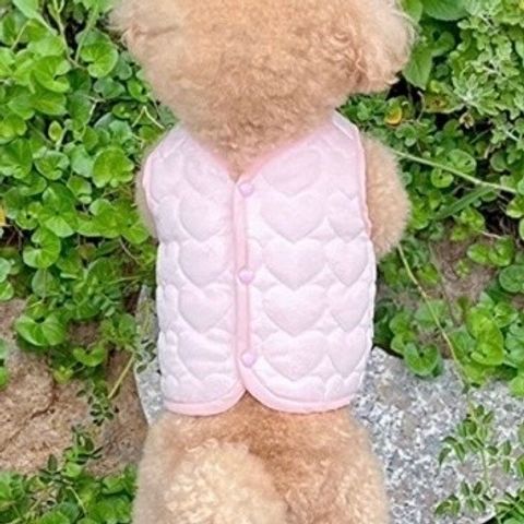 image_2A5E1AE2-99CD-4132-8C5D-1DD4BFAC4B22_1769444662