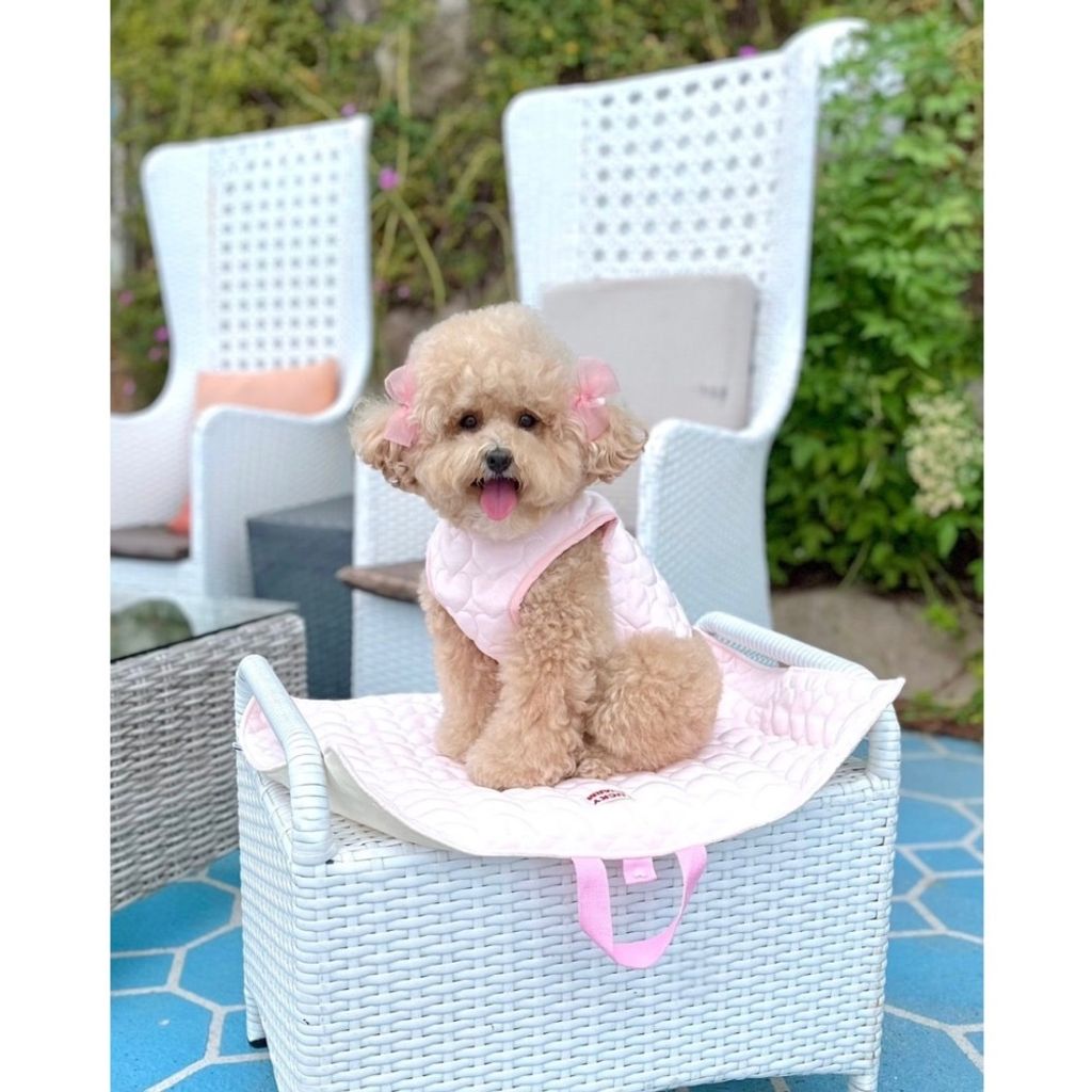 image_6A10935D-E04D-437D-AB76-02D72AB11B5E_1769444662