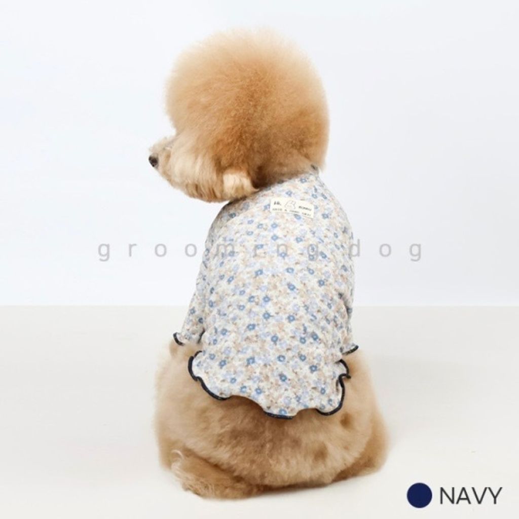 image_4BDD5E51-845F-4CCA-BD63-75BD9A7A3D4D_1769444915