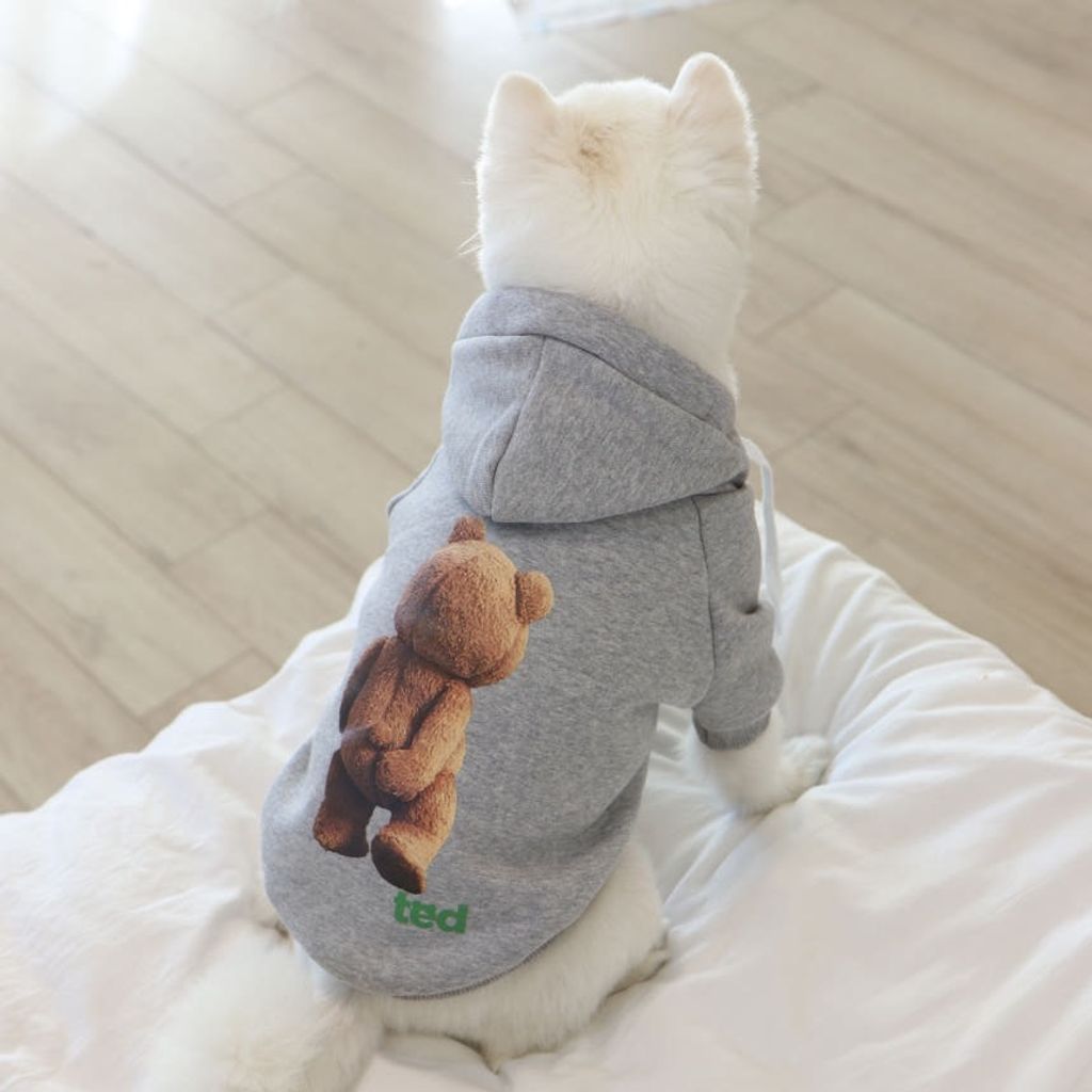 image_E8A22A53-8965-4E95-A4FA-EE64D71F498A_1769445106