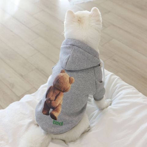 image_E8A22A53-8965-4E95-A4FA-EE64D71F498A_1769445106