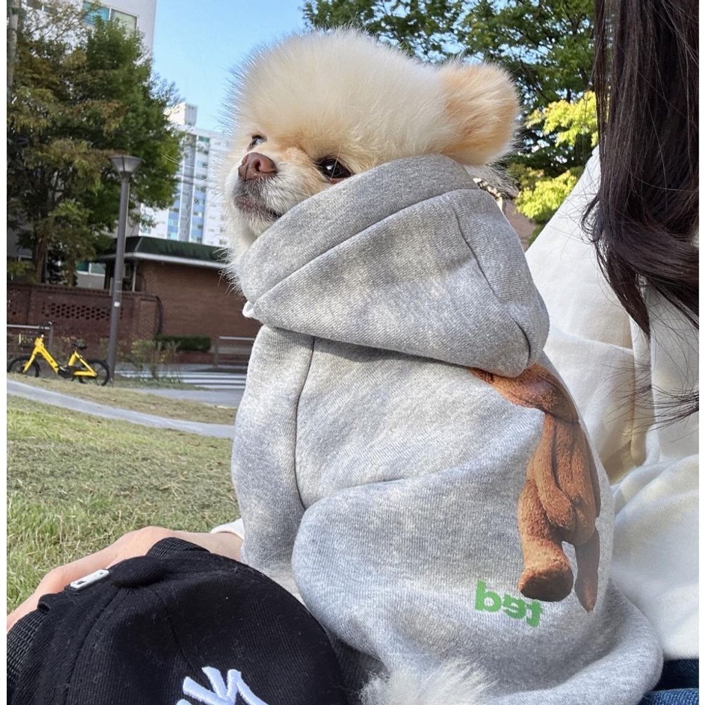 image_7D7AF139-BD38-409F-945D-9313C1538ACA_1769445106