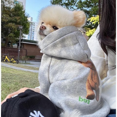 image_7D7AF139-BD38-409F-945D-9313C1538ACA_1769445106