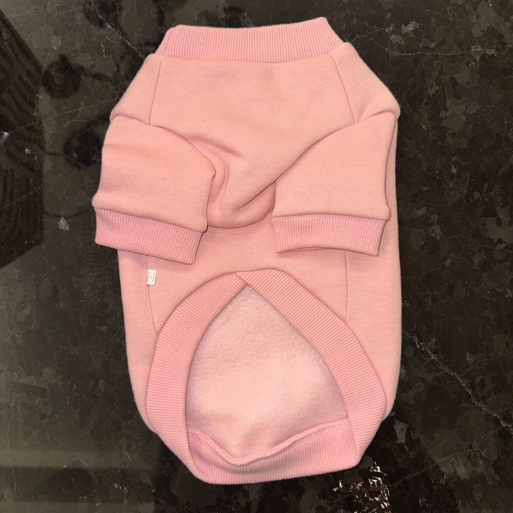 image_823517C7-D4A0-485D-89EF-2EBAC44847C7_1769445526