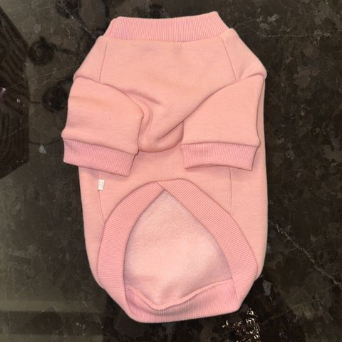 image_823517C7-D4A0-485D-89EF-2EBAC44847C7_1769445526