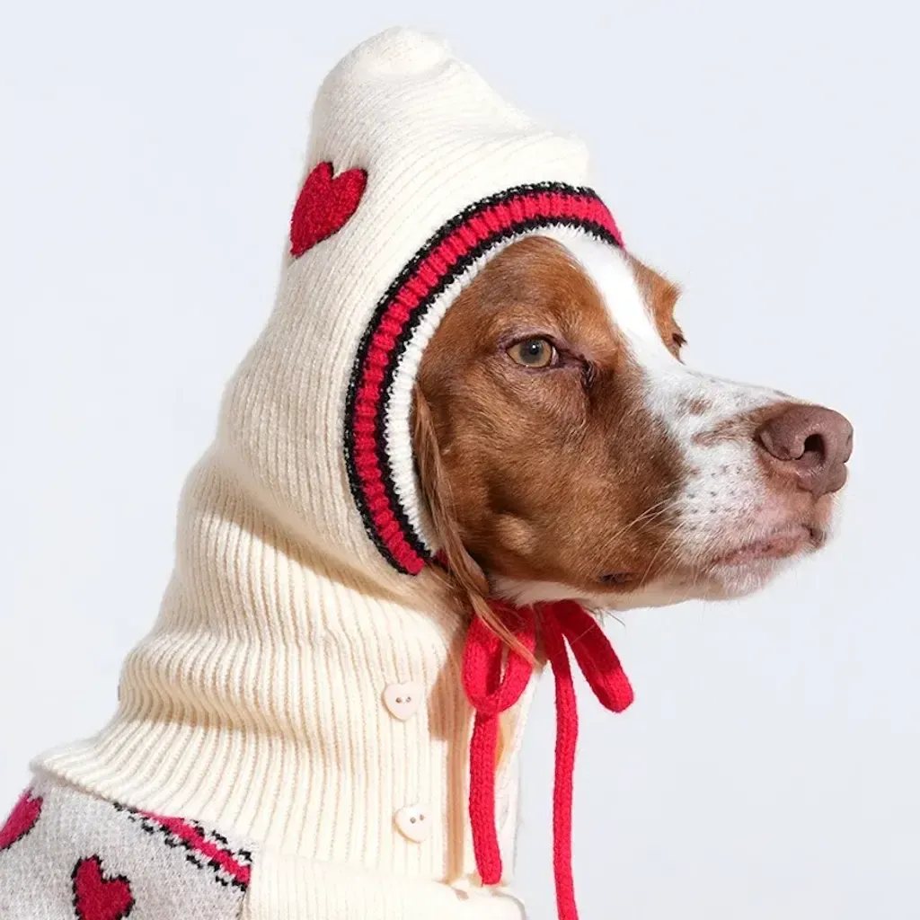 image_62F7BD47-0E59-4323-BB4A-EF608FD419DF_1769450796