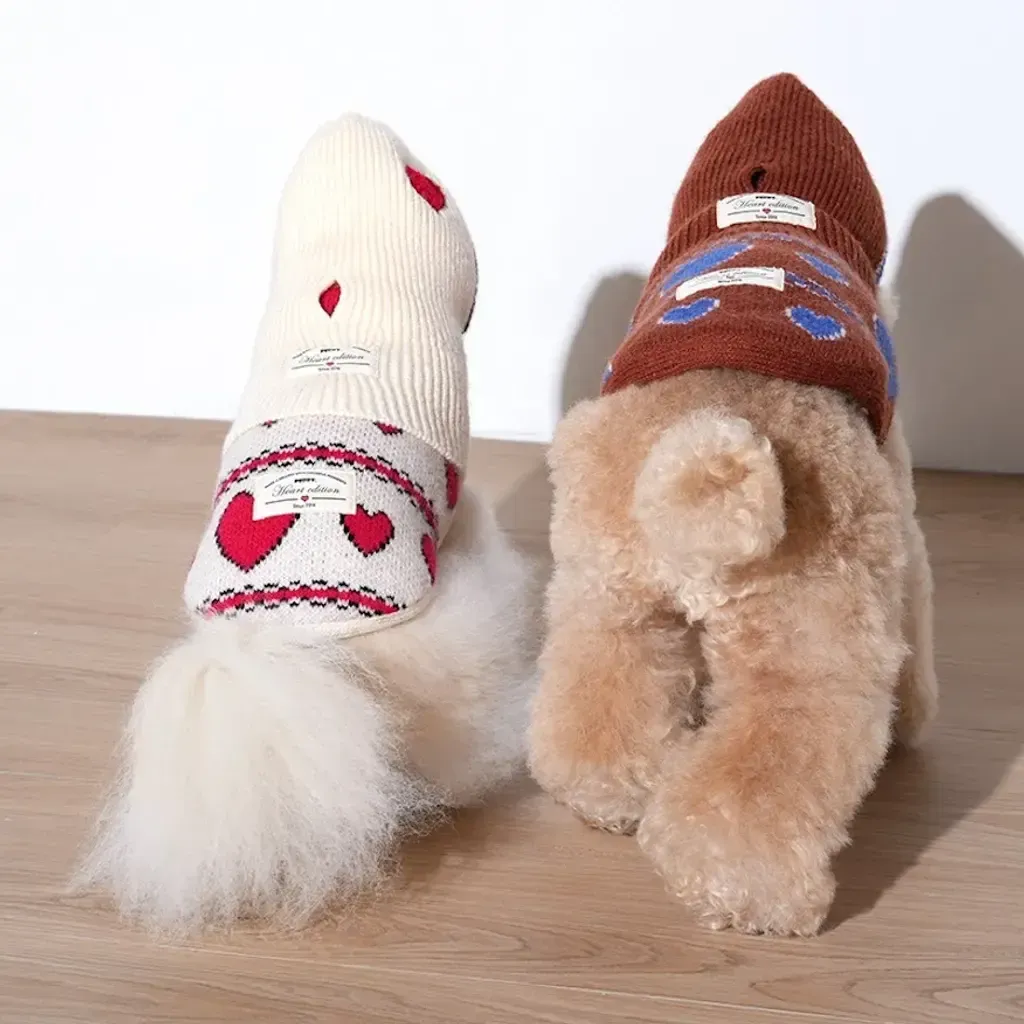 image_5A8866D1-E9A6-4F5F-B92D-018C27E25257_1769450796