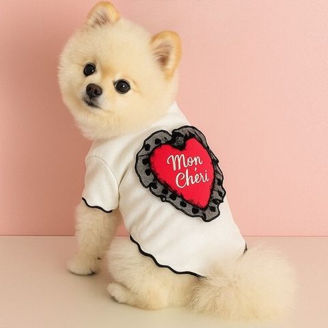 image_8084117A-B4E3-4DFF-A9A4-6F256CFD1D67_1769451313