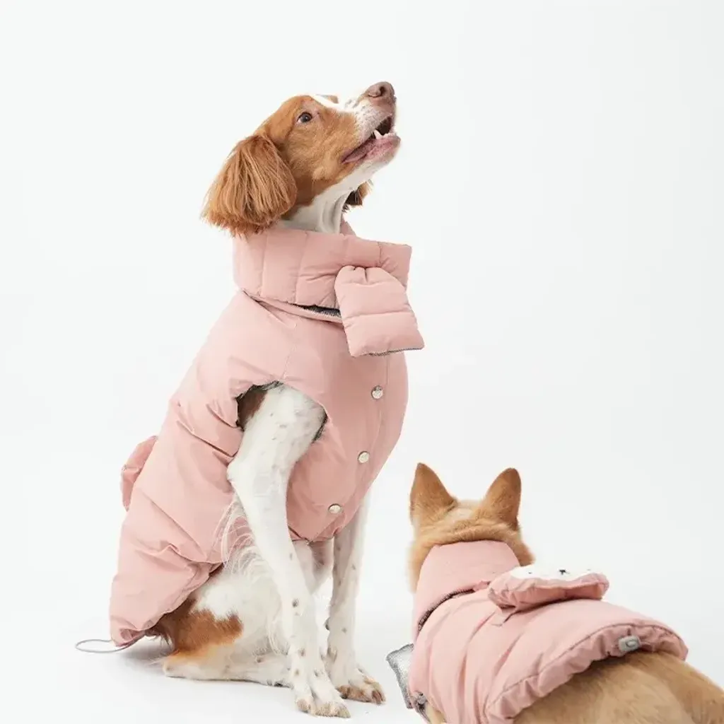 image_759418B9-74C0-4391-B7FE-2115821E6776_1769451714