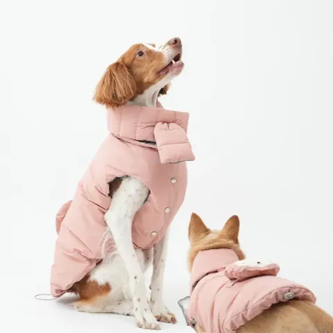 image_759418B9-74C0-4391-B7FE-2115821E6776_1769451714