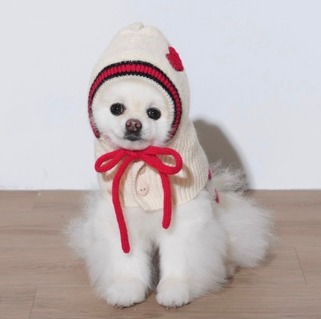 image_39D1CBE1-8867-406B-9462-B5D1373CF842_1769453087