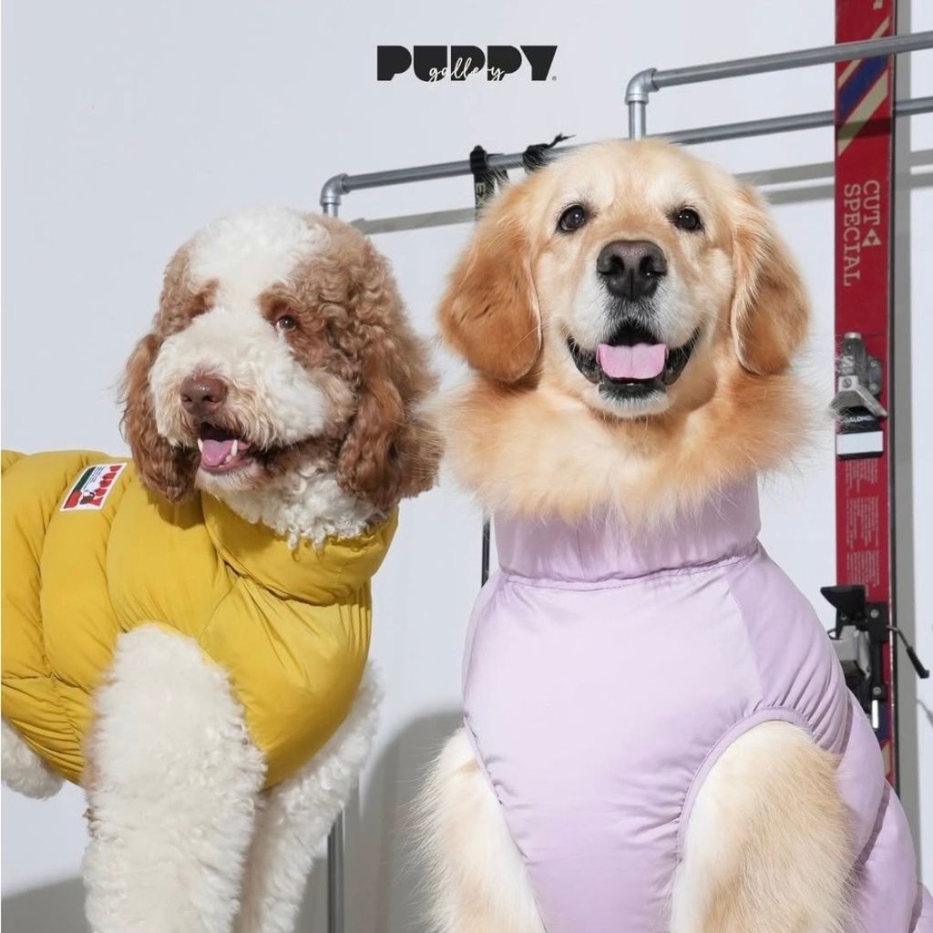 image_17A432E4-822B-4B44-80C2-F15D178B8616_1769453327