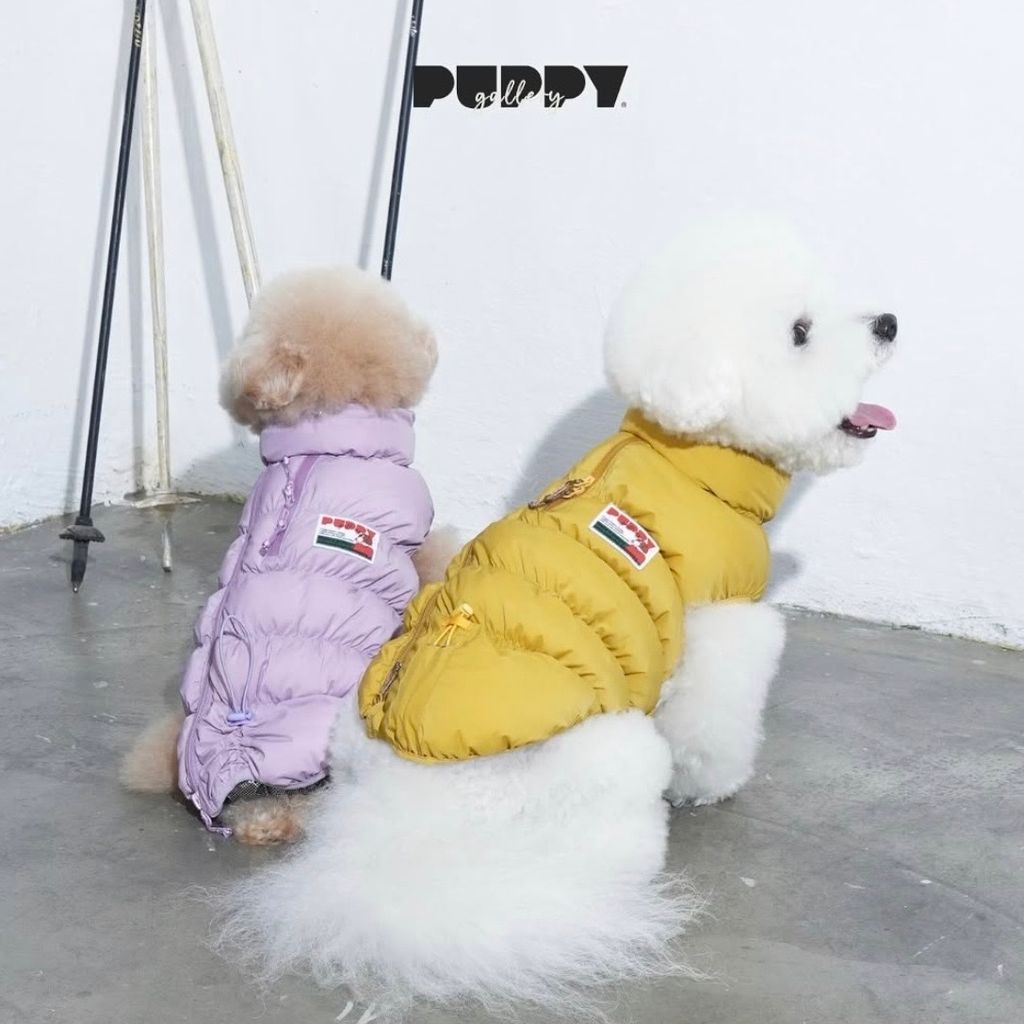 image_59139537-322C-4056-9AF7-D0B8097A8285_1769453327