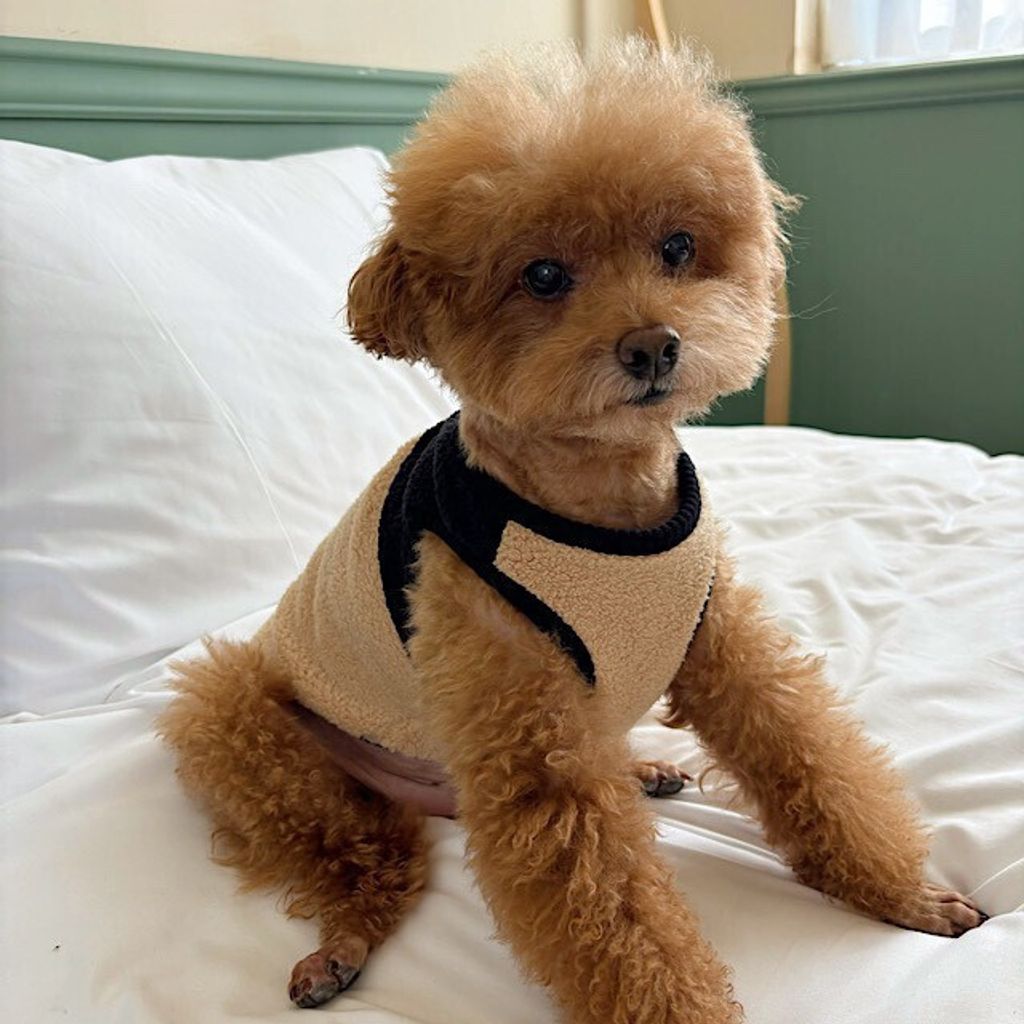 image_1F7453CF-E2DF-4B5E-B7E2-23364C6A68E6_1761766989