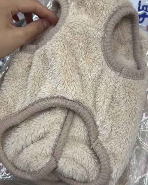 image_8EF25842-8F2C-4A28-AEA3-F217663A2694_1769463939