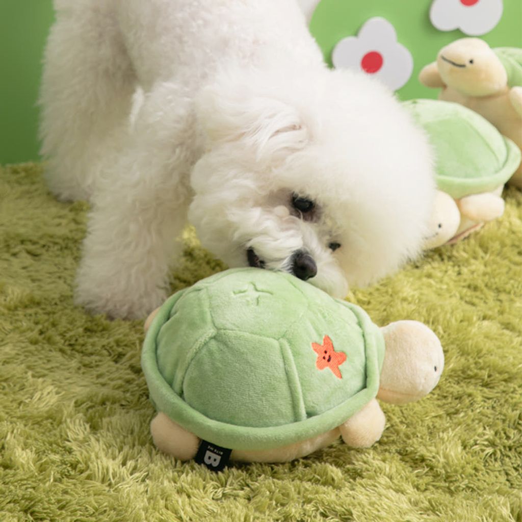 image_11BC91AA-B3E7-4C0B-9C6D-822458D47E01_1769667224