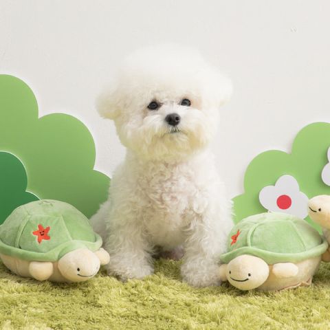 image_B3E2359E-6D0D-430C-AFAB-917C171FB13F_1769667224