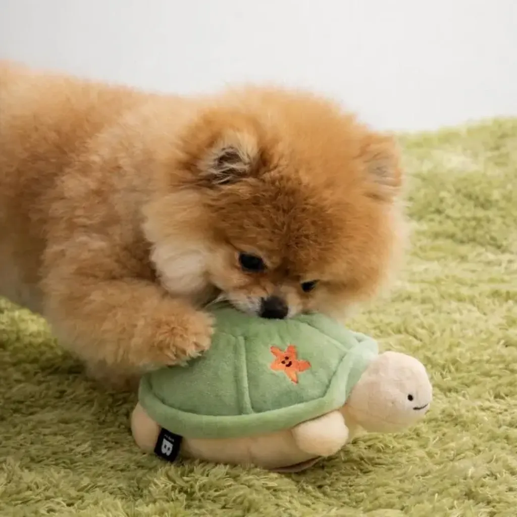 image_272B35C2-2245-4632-9AAB-E4FF042BA8AC_1769667224