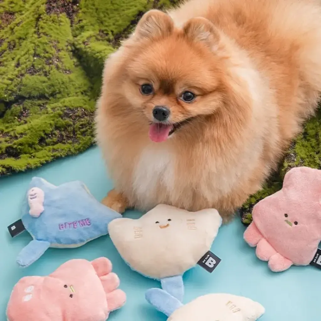 image_D7177BE4-6F86-4AFC-B99F-E485A7E16E3C_1769669528