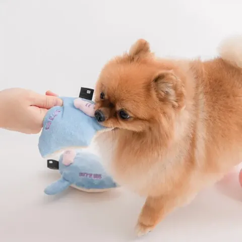 image_946D9441-C11C-452B-BAD9-FBB1CE68B588_1769669528