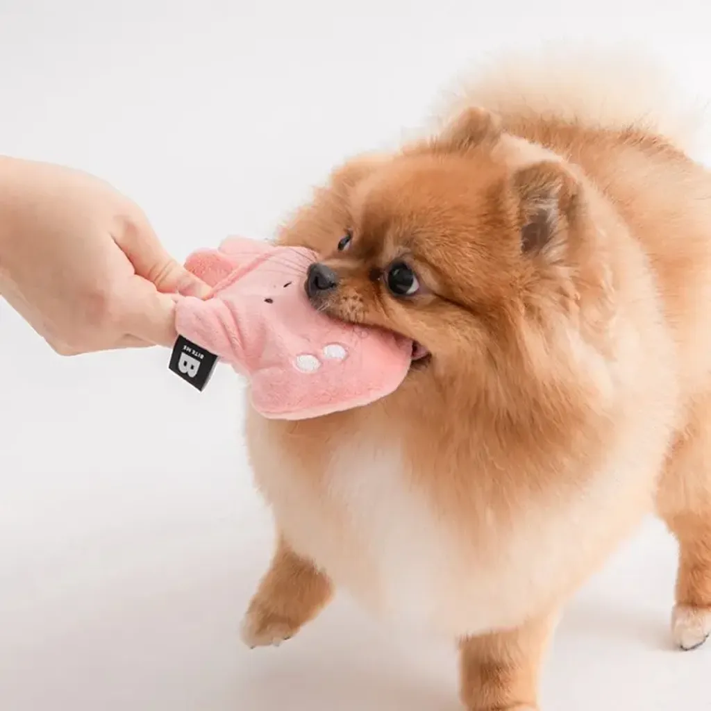 image_EC08B59C-2F74-4813-9D5B-7C8824E89635_1769669528