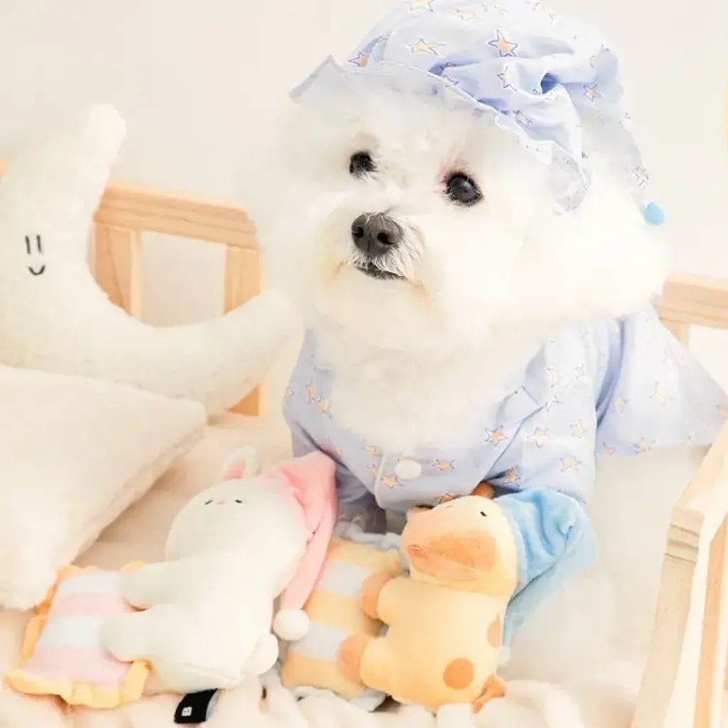 image_3DF35985-0444-4D72-84CD-DED123EA8164_1769672765