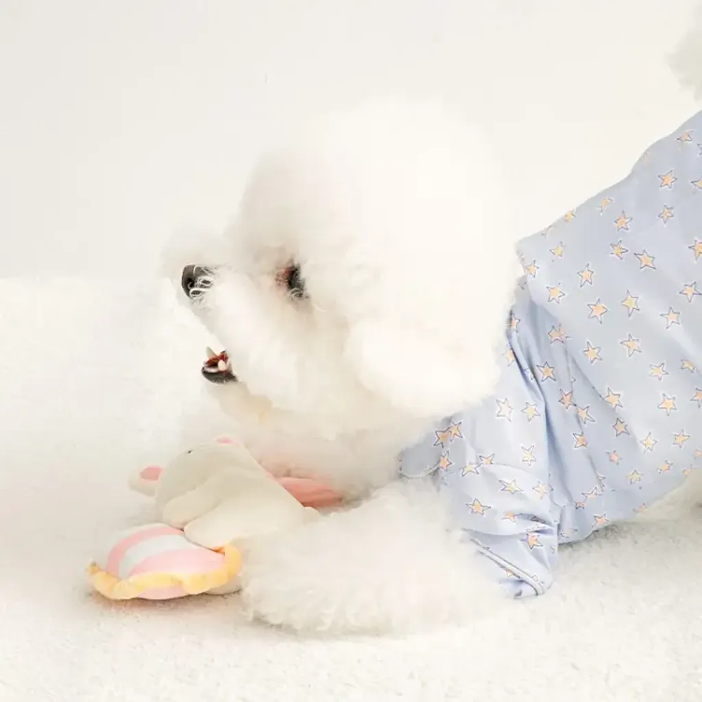 image_7A55BA5C-7185-4AC4-855E-1EFB5741F832_1769672765