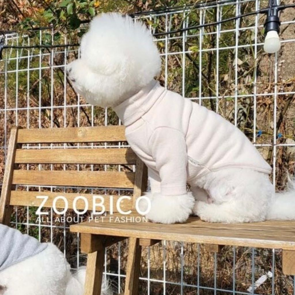 image_AC8C5595-9F00-47C7-B4AA-76DFC21EB2B1_1769718267