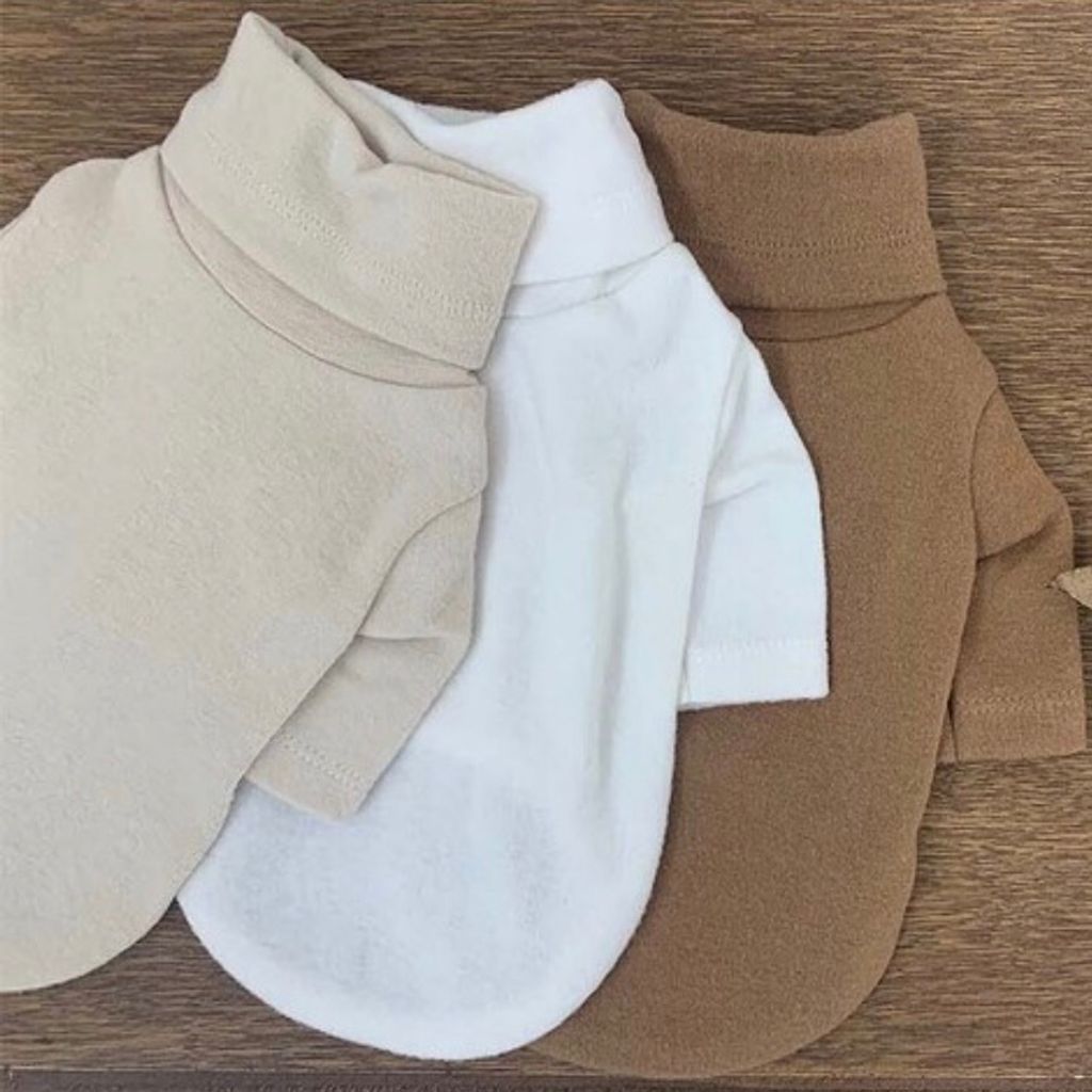 image_AD203ABA-3006-4024-A537-3F084529A313_1769718267