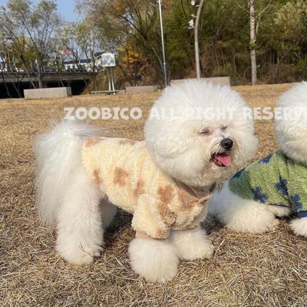 image_430E6662-A738-425A-96B4-1DB5B7D714BA_1769718542