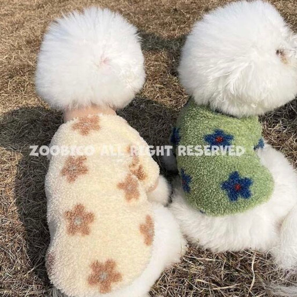 image_9C7E516E-3C57-4F86-94F4-B93E1359C3A6_1769718542