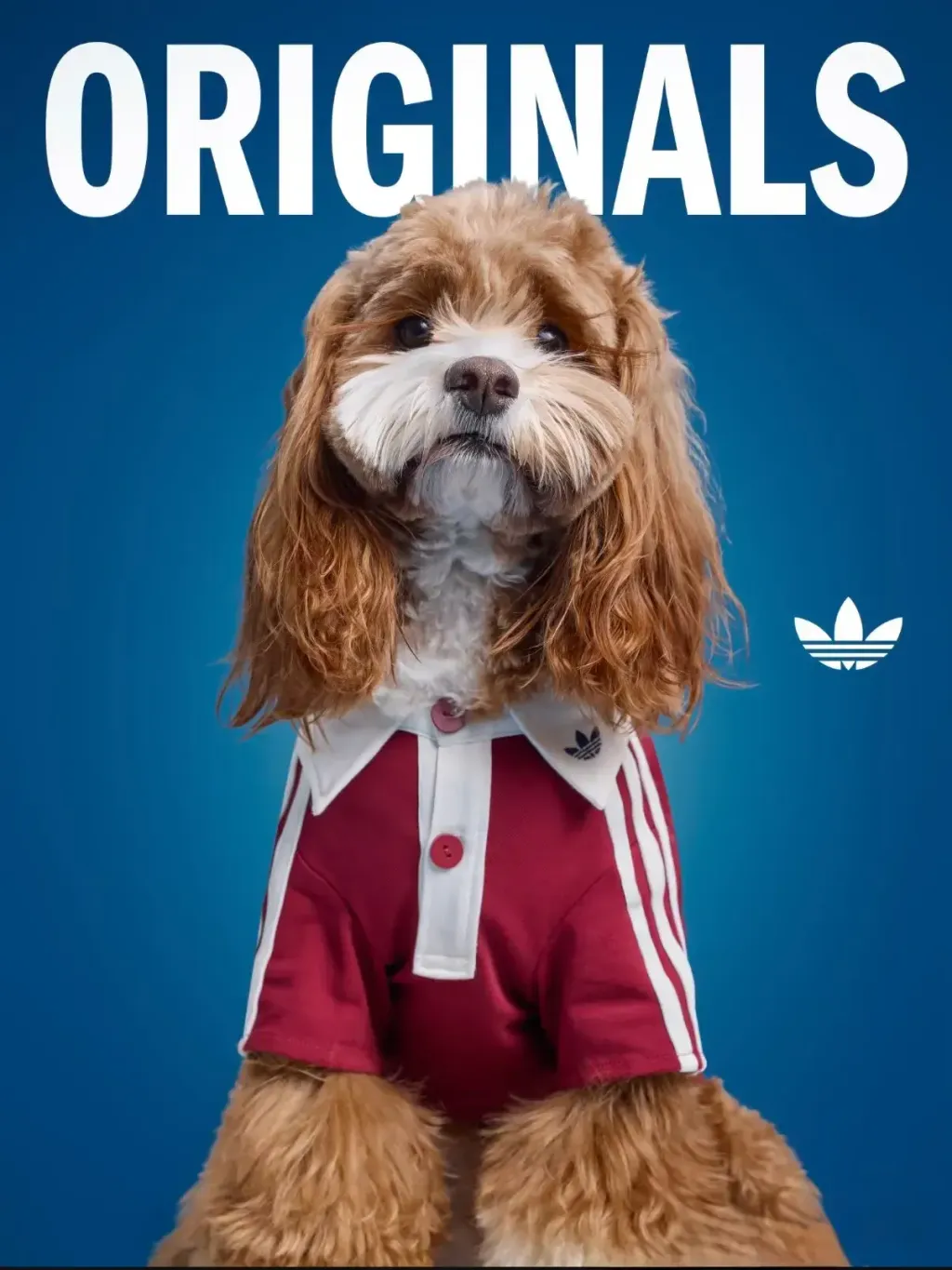 image_BC4761D5-72A8-4992-A9C7-58C9DC9455C3_1769847491