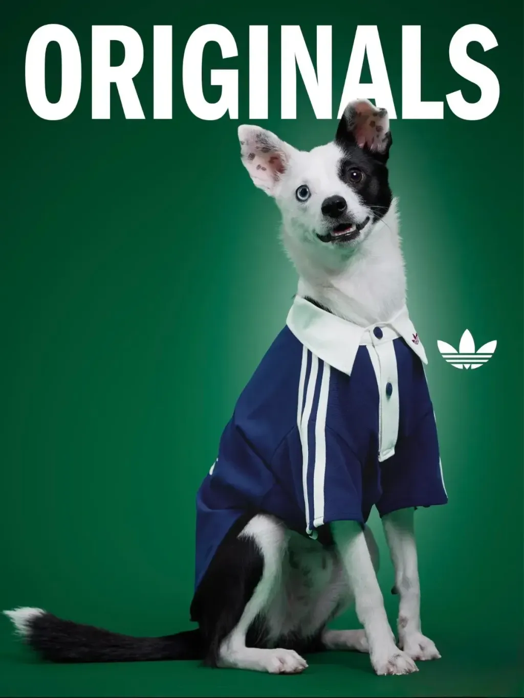 image_F2AC022A-02B7-416B-AE42-58BC251DAA78_1769847491