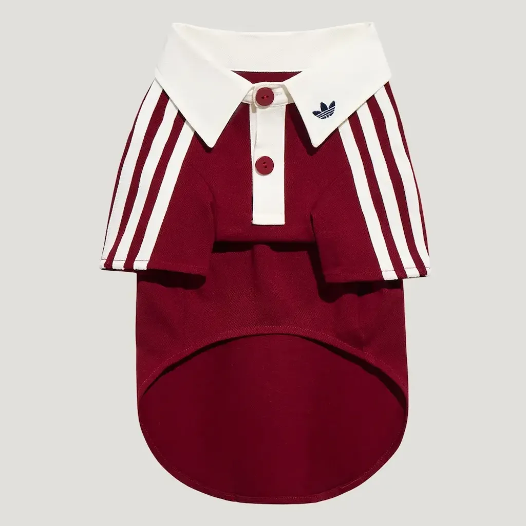 image_920299C6-F540-4D3A-89CA-623F6072A5EF_1769847491