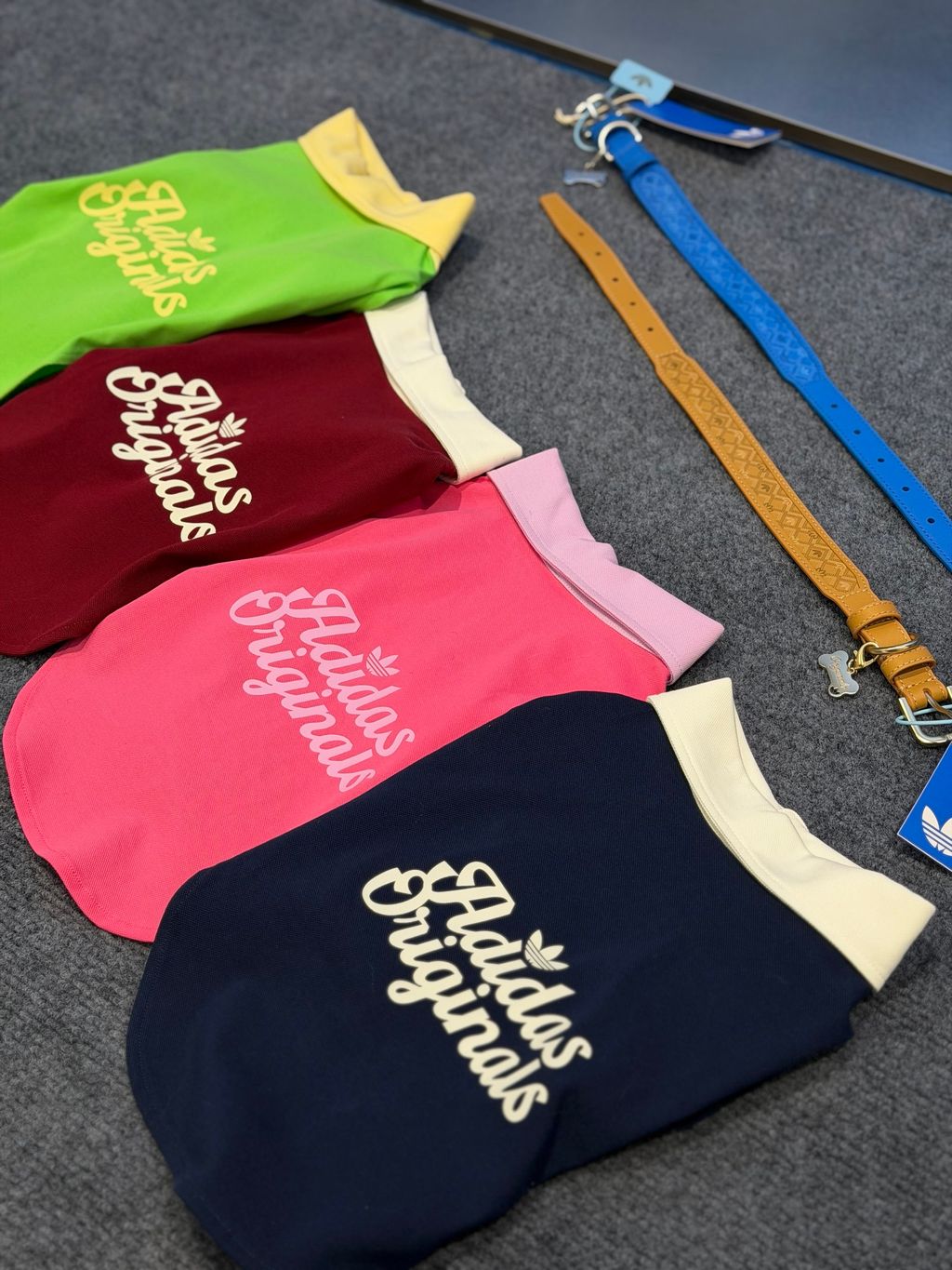 image_A1788910-F68D-4048-8B34-B55331A0E78B_1769847491