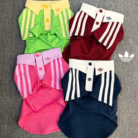 image_A01781BF-EB29-4367-88B6-E9430FC1301A_1769847491